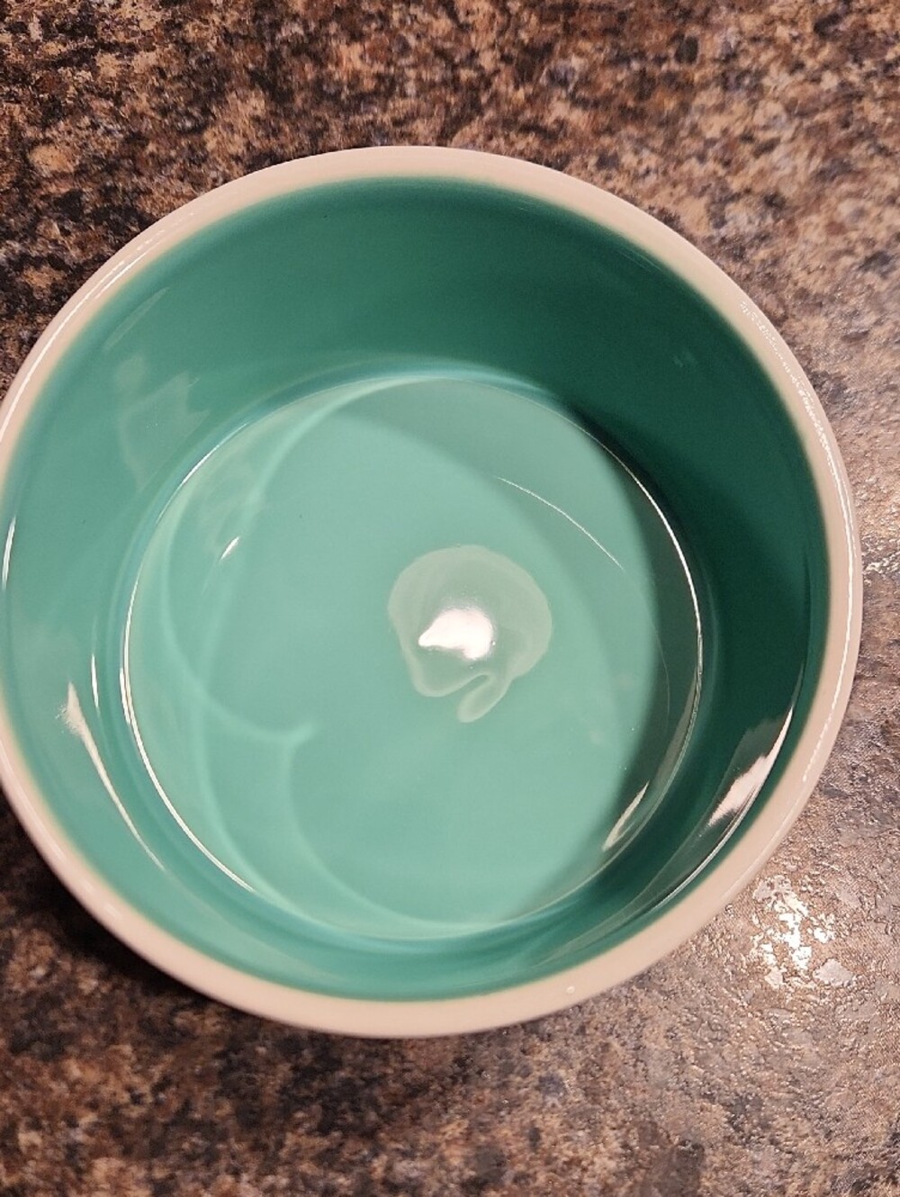 Rae Dunn White Ceramic Pet Bowl with Teal Interior - SLURP - Picture 2 of 5